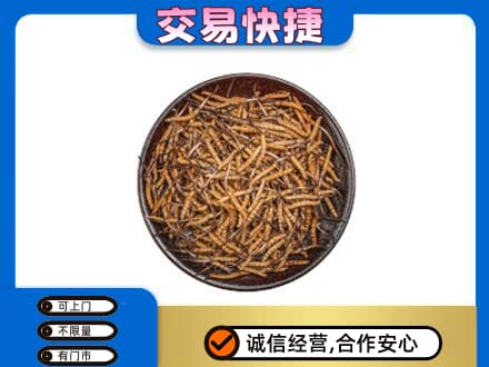 佳木斯高价回收散虫草